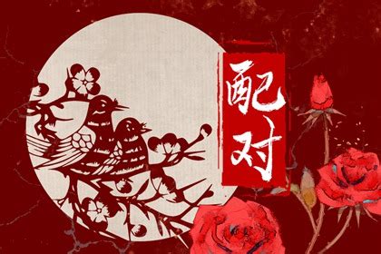 兔與龍|屬龍人的上等婚姻與最差配對，找對了更加幸福！ 